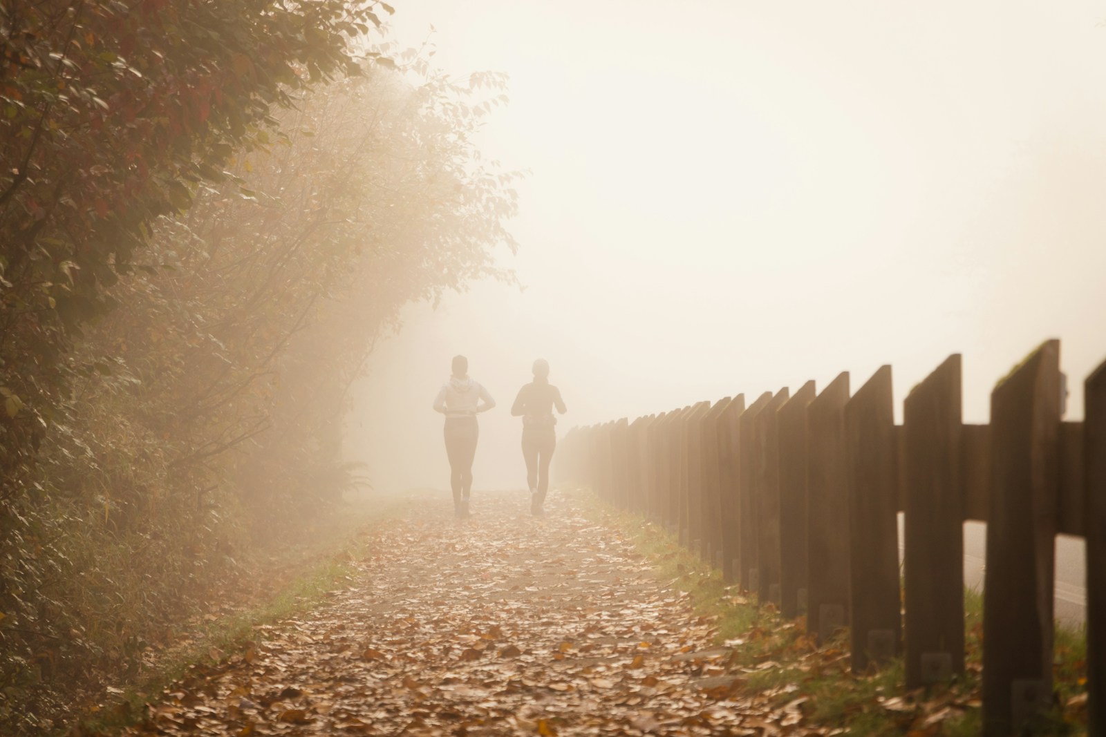 two people running outside in fog and with autumn leaves on the floor